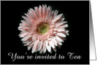 Pink Daisy, Tea Invite card