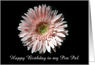 Pink Daisy, Happy Birthday Pen Pal card