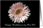 Pink Daisy, Happy Birthday Pen Pal card