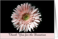 Pink Daisy, Thank You for the Donation card