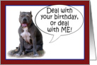 Pit Bull, Deal with it! Happy Birthday card