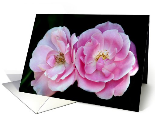 Two Roses Note card (633491)