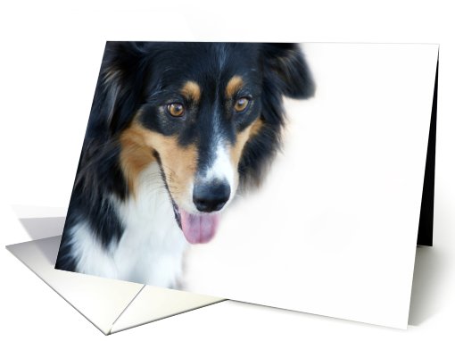 Aussie Mix Dog Note card (633598)