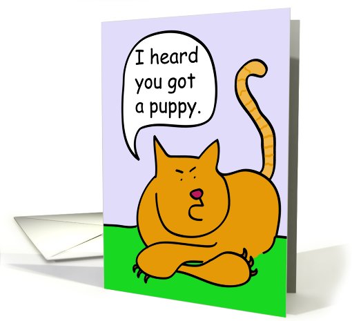 Tabby Cat Puppy Owner Congratulations card (635710)