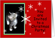 Snowflake Kitten You Are Invited to a Christmas Party card