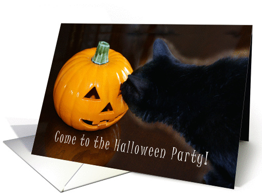 Jack-o-Lantern Ghost Cat Halloween Party card (870903)