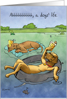 A Dog’s Life : Lab Retriever Birthday card