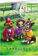 Dressed Dogs : Funny Farewell Card