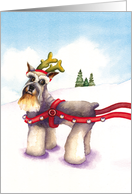 Schnauzer Reindeer : Happy Holidays card