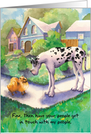 Pomeranian and Great Dane : Funny Birthday card