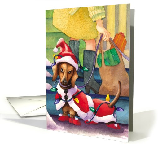 Dachshund Lights : Funny Christmas card (475673)