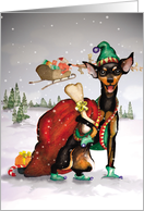 Miniature Pinscher : Merry Christmas card