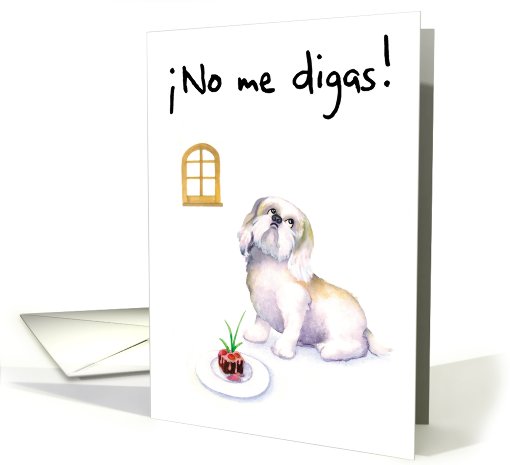 Sweet Maltese : Happy Birthday Spanish card (477625)