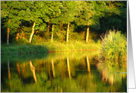 evening light and reflections card