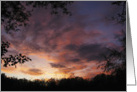 sunset clouds framed between trees card