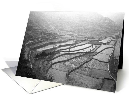 Terrassed fields in Guizhou province, China card (530747)