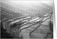 Terrassed fields in Guizhou province, China card