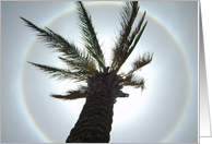 Halo around the sun card