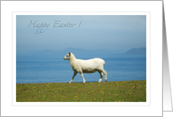 Happy Easter ! card