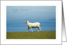 Happy Easter ! card