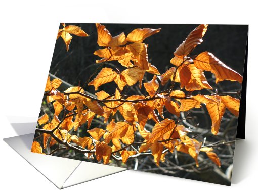 autumn leaves card (609112)