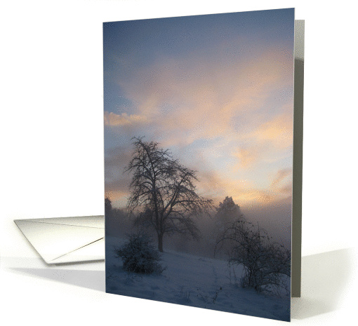 Happy New Year ! (winter scenery : evening mist over a... (734107)