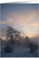 Happy New Year ! (winter scenery : evening mist over a snow field) card