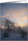 Happy New Year ! (winter scenery : evening mist over a snow field) card