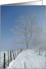 Happy New Year (winter scenery : tree with snow in the mist) card