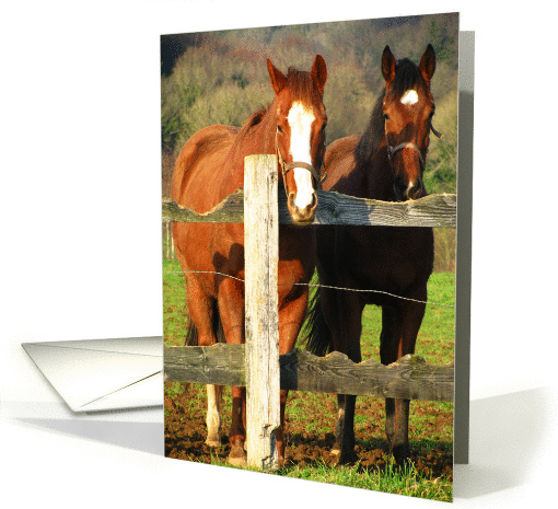 Horses at the gate card (757442)