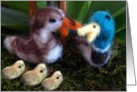 Duck Family card