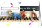 Animal Happy Birthday card