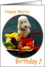 Fruits&Dog - Happy Birthday card
