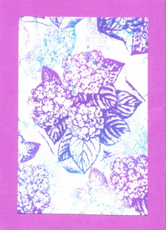 Batik Hydrangea