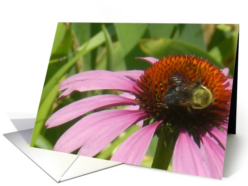 Congratulations on Your New Job card (488401)