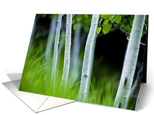 ghost trees card (483886)