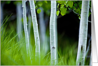 ghost trees card
