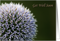 flower get well soon card