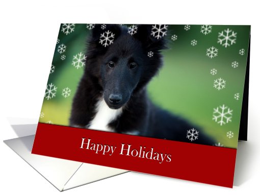 happy Holidays, puppy, collie, card (728895)