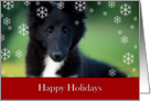 happy Holidays, puppy, collie, card