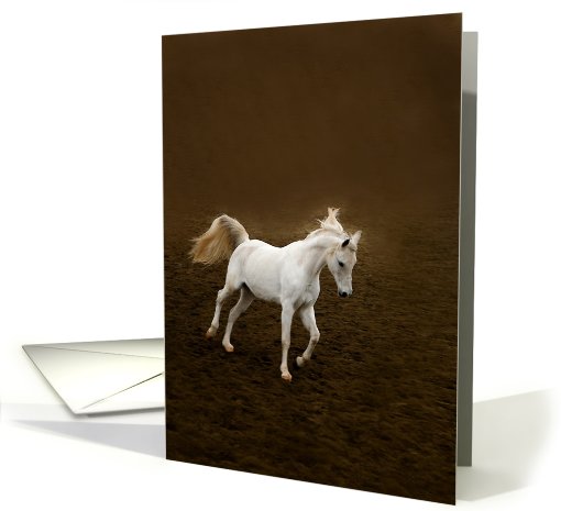 White horse running card (782715)