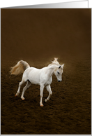 White horse running card