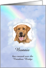 Rainbow Bridge Pet Loss Announcement card