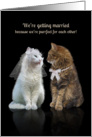 Getting Married Announcement Cats card