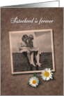 Sisterhood is forever / National Siblings Day card