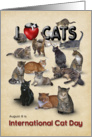 I love Cats - International Cat Day card