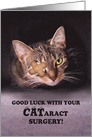 Good luck with your Cataract surgery, cat with eye patch card