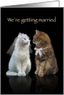 We’re getting married Cats card