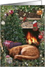 Christmas Cat card