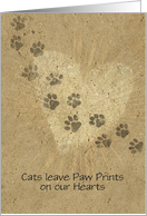 Cats leave Paw...